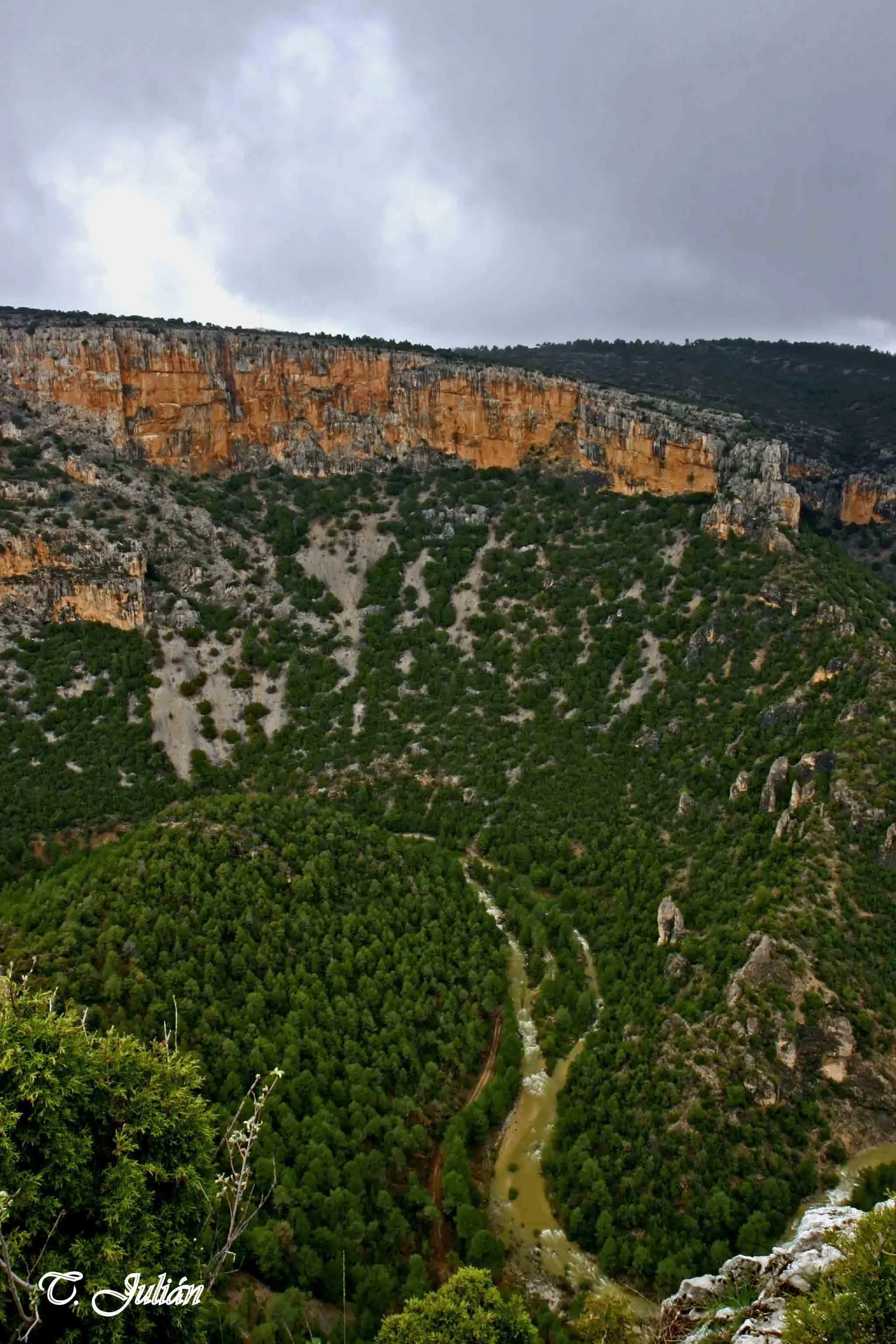 La rambla de Celumbres bajando entre los cortados de roca y el pinar